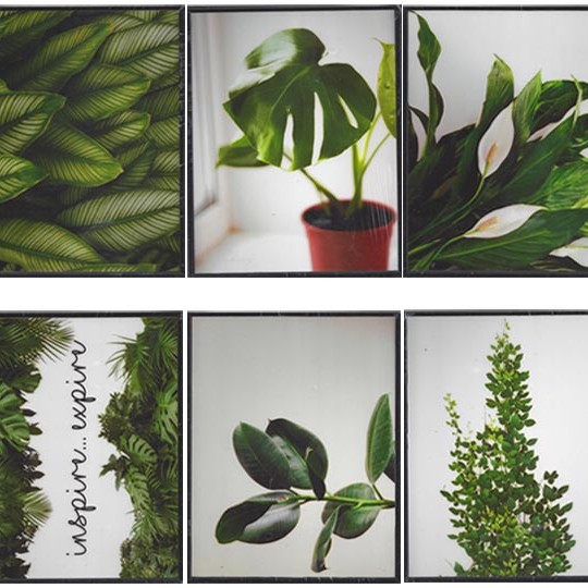 QUADRO DECORATIVO DE PLASTICO