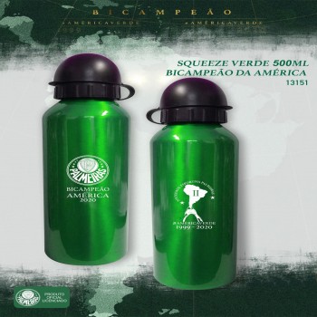 SQUEEZE PALMEIRAS BICAMPEÃO DA AMÉRICA SQUEEZE PALMEIRAS BICAMPEÃO DA AMÉRICA